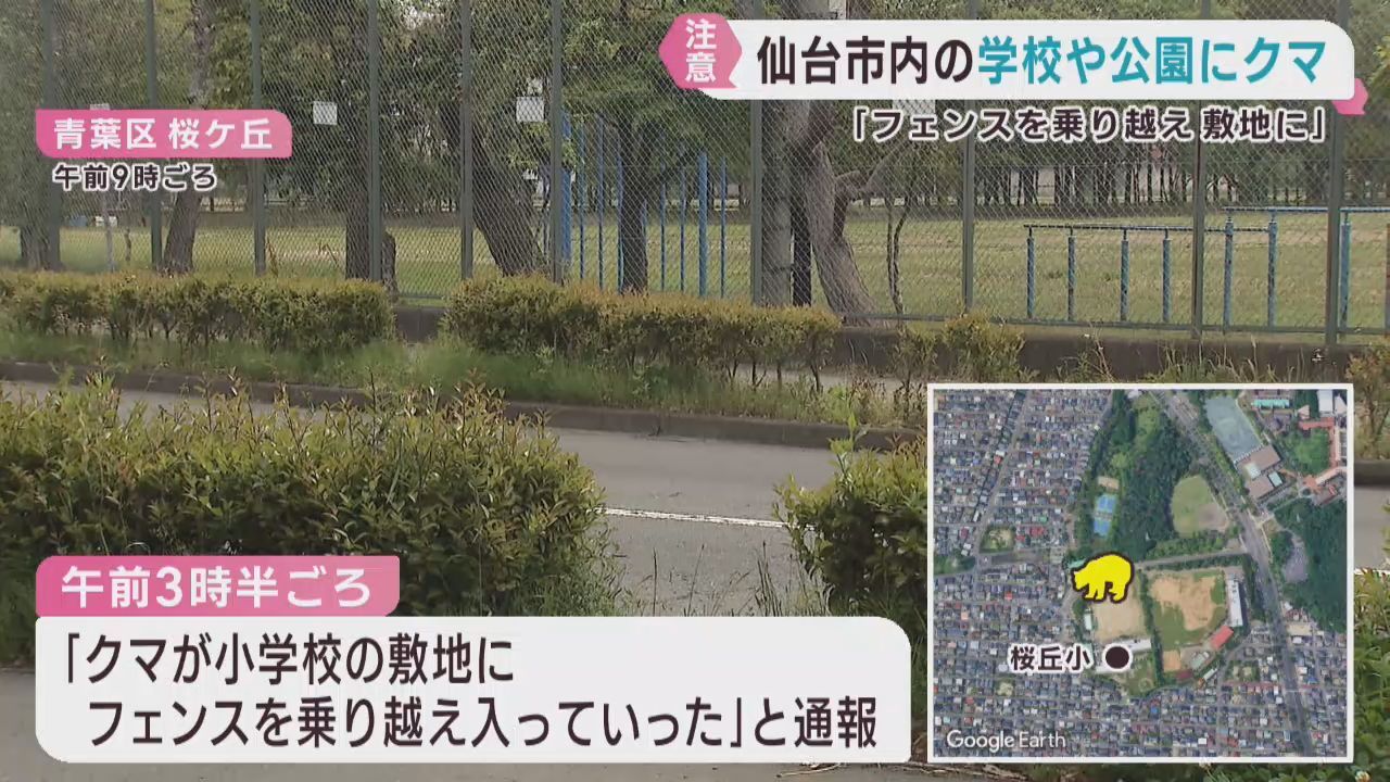 学校や公園などでクマ目撃が相次ぐ　仙台市の青葉区と泉区