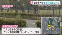 学校や公園などでクマ目撃が相次ぐ　仙台市の青葉区と泉区