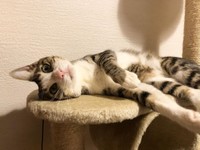 お腹いっぱい食べて幸せ！