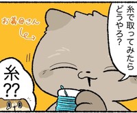 糸を使えば指輪が取れる？（ゆう｜ノープロブレムキャットさん提供）