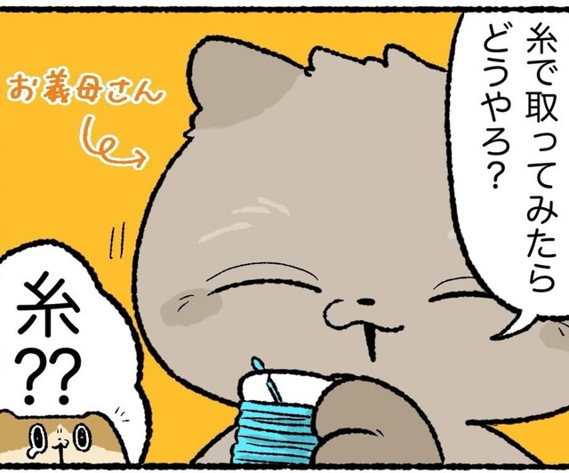 糸を使えば指輪が取れる？（ゆう｜ノープロブレムキャットさん提供）