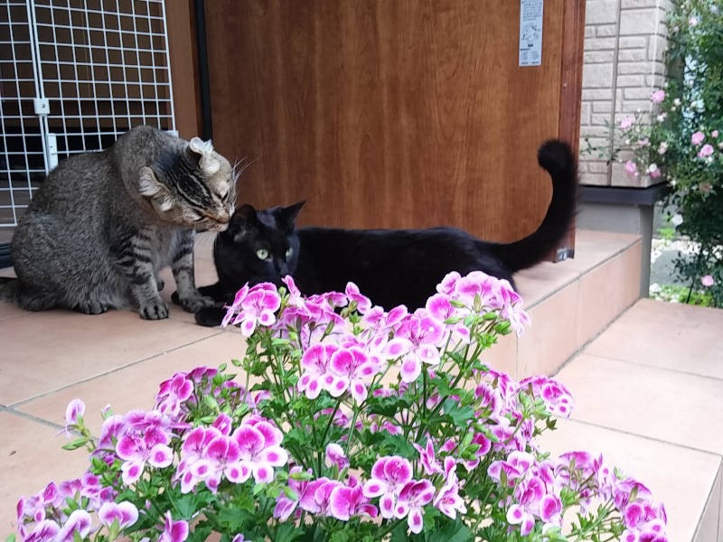 面倒見のよいカールくんがよく可愛がってくれました