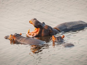 「歳を取ると自分が変わろうとは思えなくなる」と言う父。前向きさを忘れないで