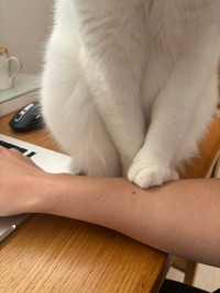 仕事が終わるのを待つ手が可愛すぎる（提供：まつもとたけるさん）