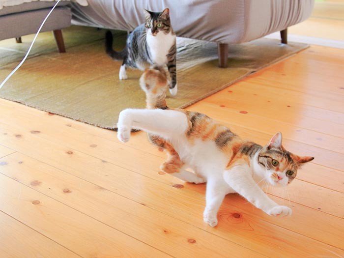 ココのアタック！