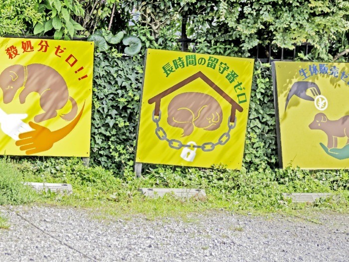 「ちばわん」さんが活動するうえでの考えがパネルで展示されています。photo by ムロヒロミ