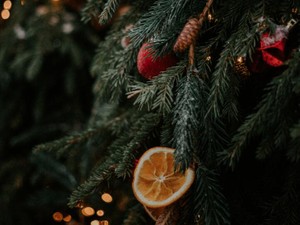 「いる」と信じてほしかった。塾講師の私が怯えたクリスマスの呪文