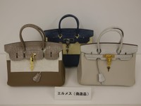 フリマアプリで偽物のエルメス「バーキン」など4点　計225万円を販売した疑い　27歳の無職の女逮捕　香川県警