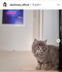 大地真央のインスタグラム@daichimao_officialより