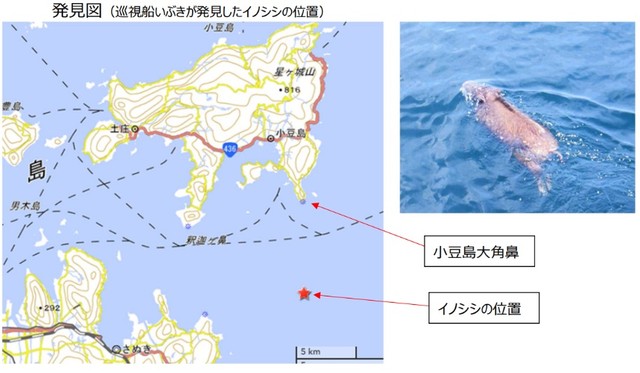 イノシシが発見された瀬戸内海の場所（高松海上保安部撮影）