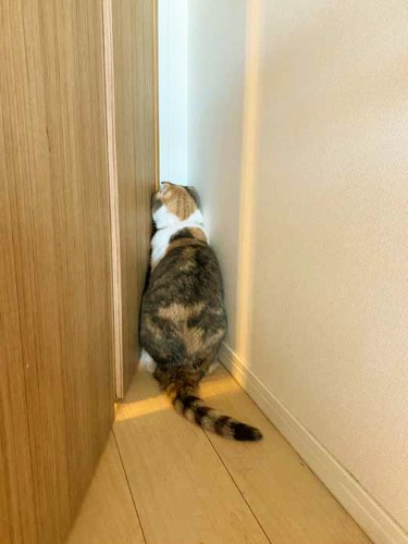 もしかして「もういいかい？」っていってるのかな（写真協力・ココさん／白夜書房提供）