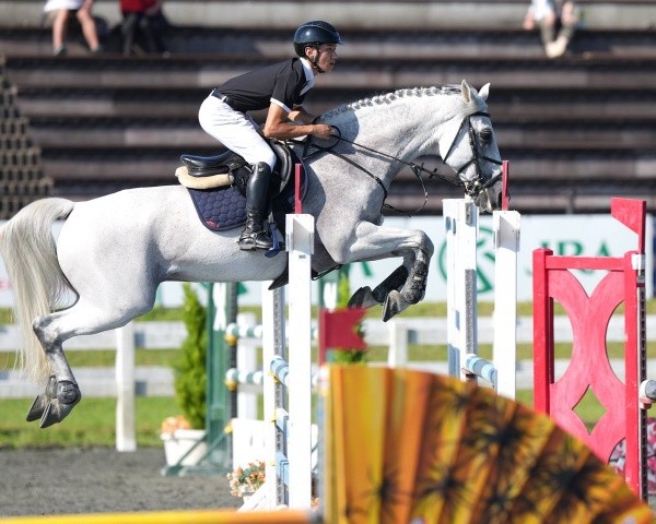 競技馬として活躍していた時のイーグルBくん（画像提供：芦峅ホースヴィレッジさん）