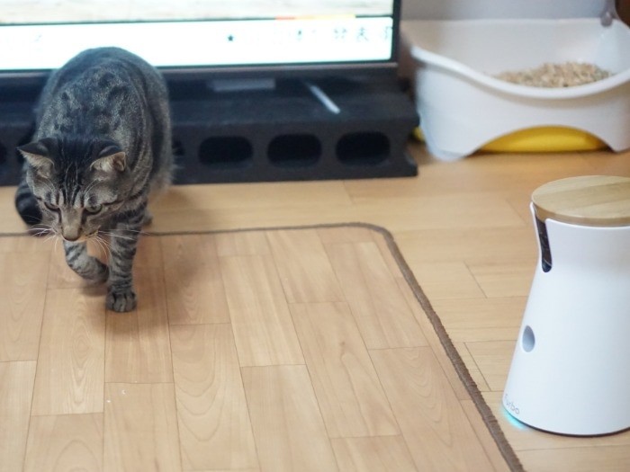 「ママが家にいるとおやつ出ないのか…じゃあ出かけていいよー」