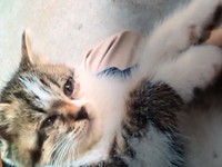 保護されて２日目。切ない表情