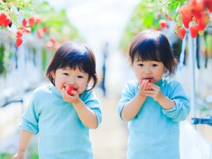 親、配偶者、異母きょうだいの有無でケース分けを 被相続人が「一人っ子」の相続