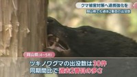 資料