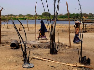 自然災害の損害額、世界の3割を占める日本　なのになぜ「気候安全保障」が広がらない