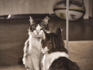 今日も顔が良いので頑張れます！朝の化粧は大切な儀式