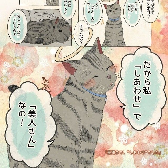 2つの名前を持つキジトラ猫さん