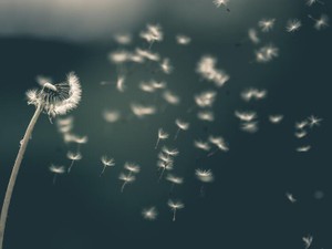 手前勝手な理解はいらない。私が望むのは「カミングアウト」の言葉が無くなること