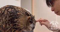 大切なコミュニケーションの一つです！（提供：momozukuさん）