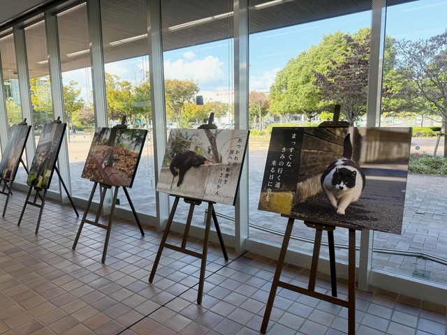 2025年の展示の様子