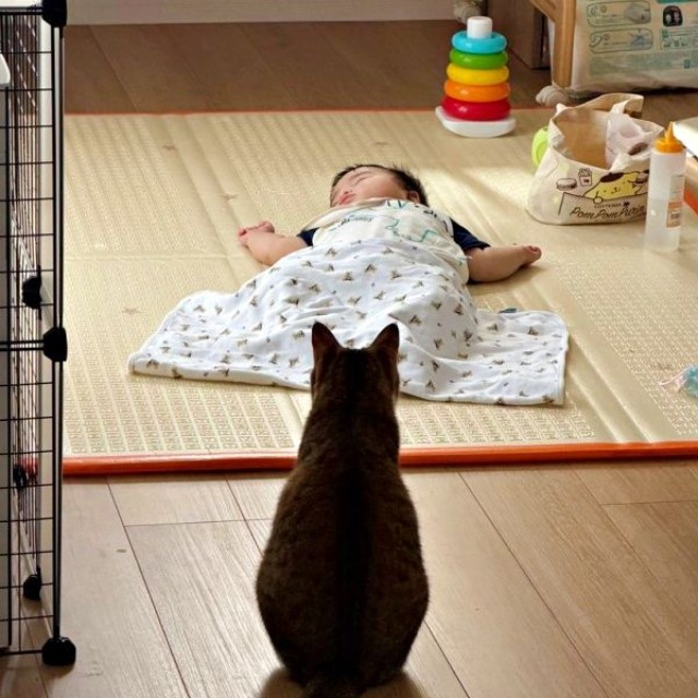 赤ちゃんをそっと見守るステラちゃん（画像提供：友禅師 水野可菜:名古屋の小さな友禅屋さん）