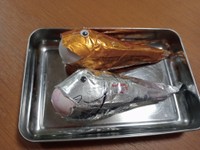 こちらが話題の深海魚の工作作品（カニ軍艦太郎さん提供）