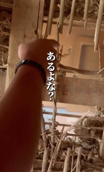 扉がある…いったい！？（桑原さん提供、Instagramよりキャプチャ撮影）