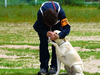 足跡についた臭いで「犯人」を追うワン！「嘱託警察犬」の競技会