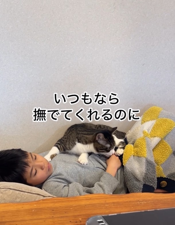 高熱で寝込んだ息子さんの手をなめる小鼓ちゃん（「小判つる姫あさひ」さん提供、Instagramよりキャプチャ撮影）
