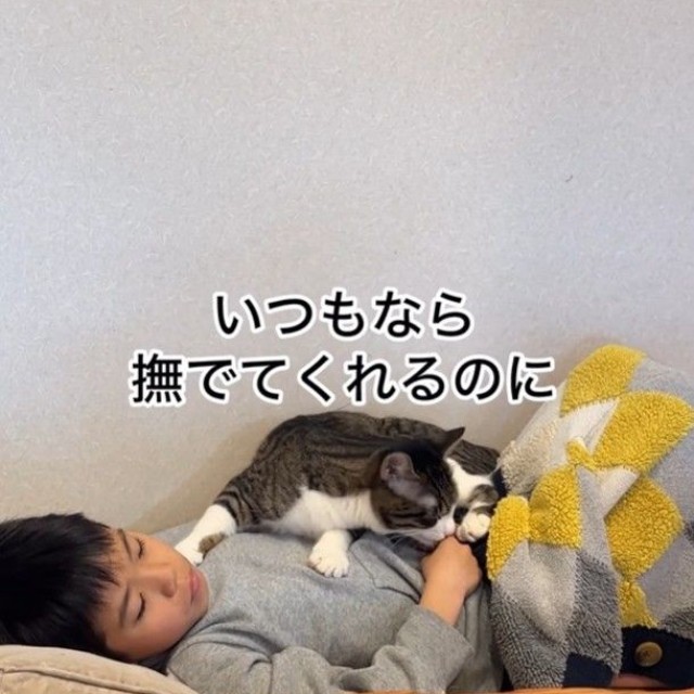 高熱で寝込んだ息子さんの手をなめる小鼓ちゃん（「小判つる姫あさひ」さん提供、Instagramよりキャプチャ撮影）