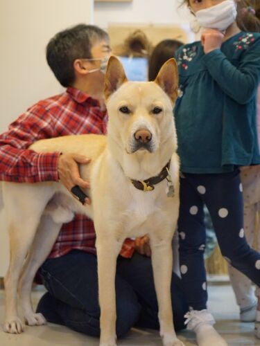 堂々とした今の姿。体重は昨春の５倍になったけど“のんびりキャラ”は変わらず。「朝ごはんは昼までかかって食べるのさ～」