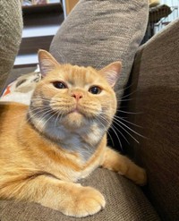 僕が1番だよね？ママ？（提供）