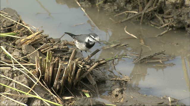 10月は記録的な「長雨」岡山で影響を取材