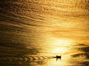 人生にはお金がつきもの。だから私は他者に遣えるお金を増やしたい