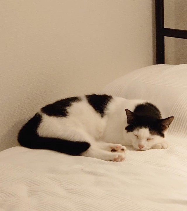 雷が鳴っても平気で寝られる