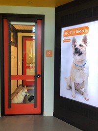 １匹毎にお部屋あり、その隣に紹介ビデオを設置。動いている様子が見られる