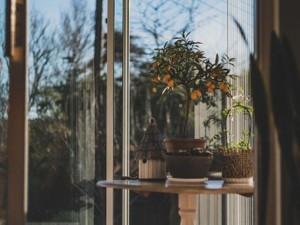 「ふるさと」が枕草子や百人一首なら、私は「故郷」を愛せそうだ