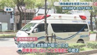 資料