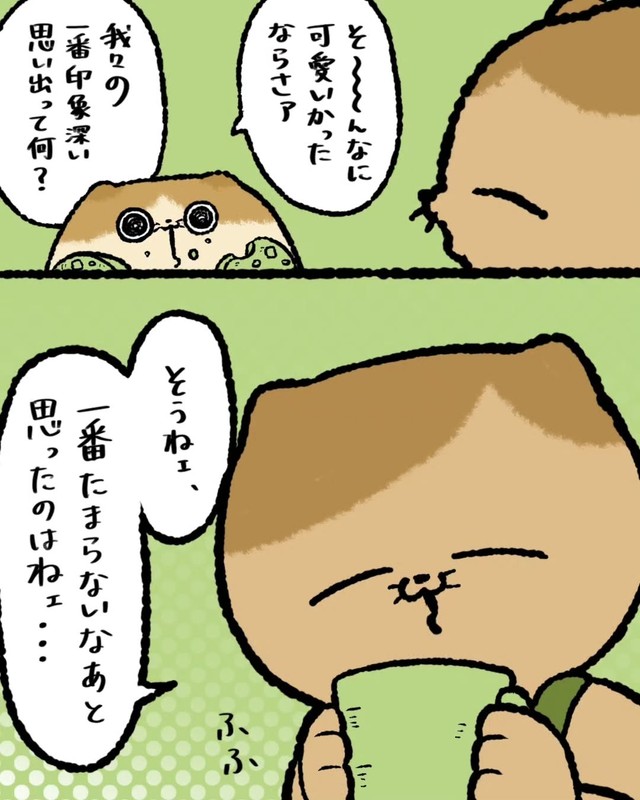 【漫画】『母のために持ってきたモノ』4（ゆう｜ノープロブレムキャットさん提供）