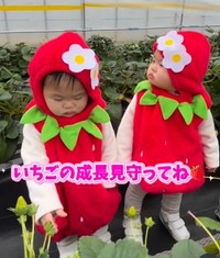 今年限定、2パック限定の双子いちご♡（提供：＠can_twins_さん）
