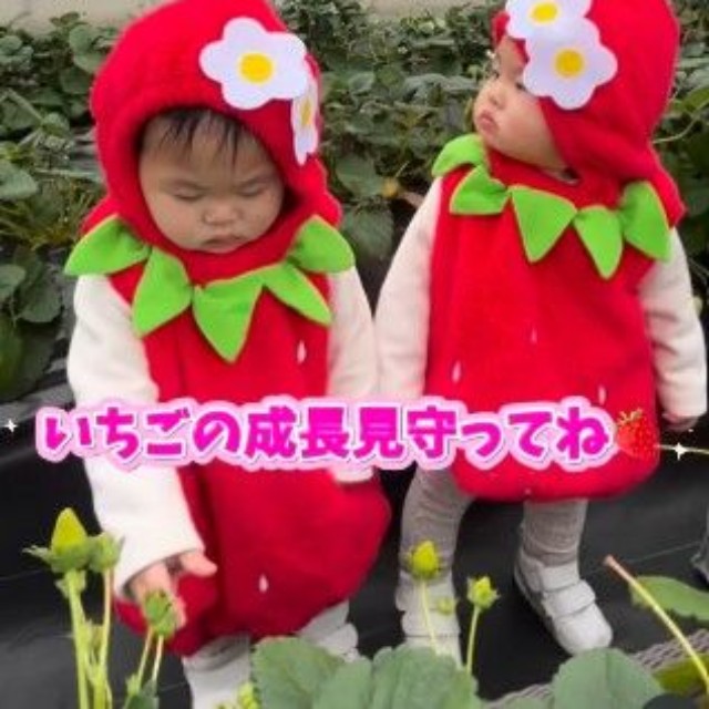 今年限定、2パック限定の双子いちご♡（提供：＠can_twins_さん）
