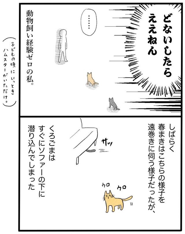 【漫画】『ネコと暮らした9日間』12（イゴカオリさん提供）