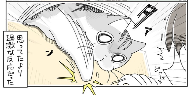 タァン！！（提供：キュルZさん）