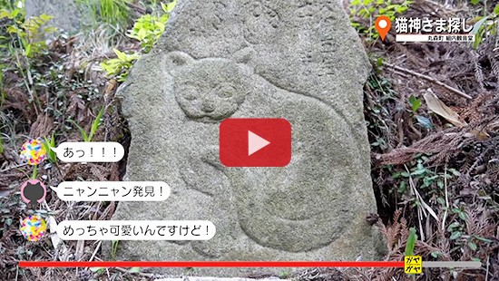 #281丸森町 猫神さま探し①