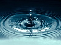 自分についての質問に泣きそうになった。今なら理由を言語化できる