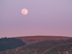 私は私にしかなれなかった。これで生きていくしかなかった。