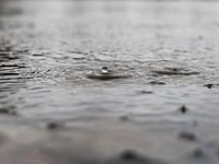 「こんなこと言ったらセクハラって言われるかもしれないけど」って枕詞が大嫌い