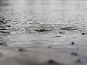 「なんでお土産買ってこなかったの！」すごい形相で母は叫んだ